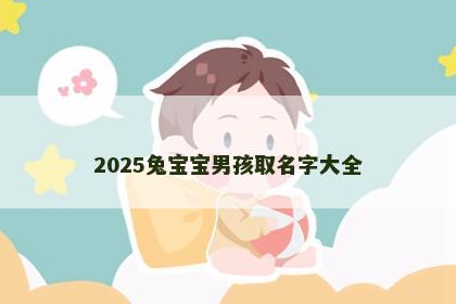 2025兔宝宝男孩取名字大全