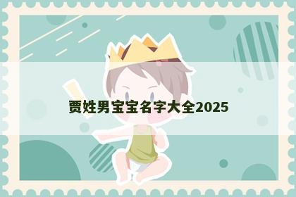 贾姓男宝宝名字大全2025