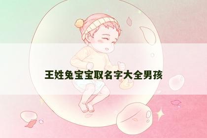 王姓兔宝宝取名字大全男孩
