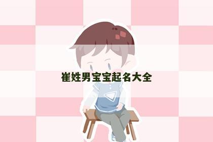 崔姓男宝宝起名大全