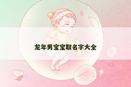 龙年男宝宝取名字大全