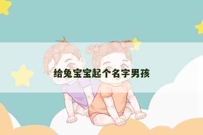 给兔宝宝起个名字男孩