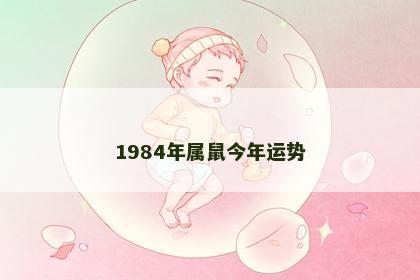 1984年属鼠今年运势