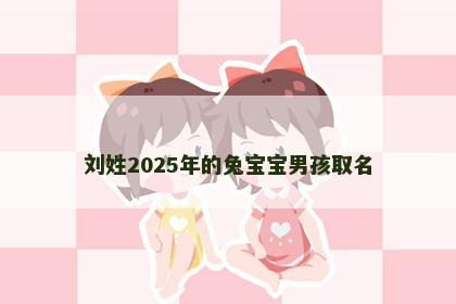 刘姓2025年的兔宝宝男孩取名