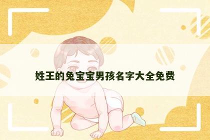 姓王的兔宝宝男孩名字大全免费