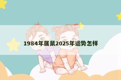 1984年属鼠2025年运势怎样