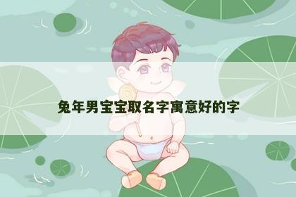 兔年男宝宝取名字寓意好的字