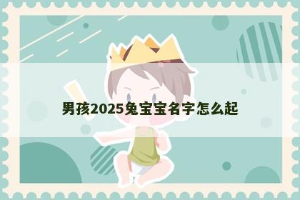 男孩2025兔宝宝名字怎么起