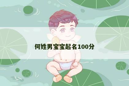 何姓男宝宝起名100分