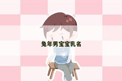 兔年男宝宝乳名