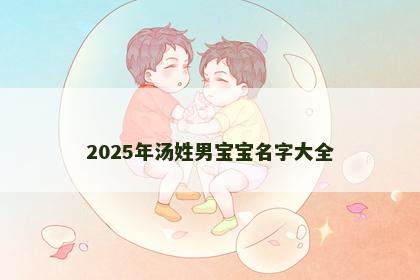 2025年汤姓男宝宝名字大全