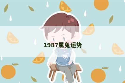 1987属兔运势