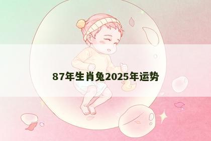 87年生肖兔2025年运势