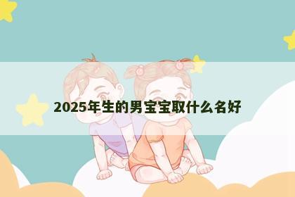 2025年生的男宝宝取什么名好