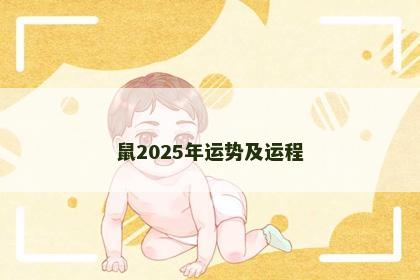 鼠2025年运势及运程