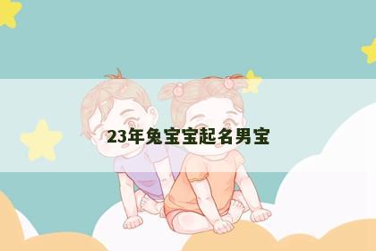 23年兔宝宝起名男宝