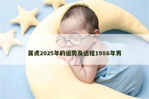 属虎2025年的运势及运程1986年男