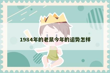 1984年的老鼠今年的运势怎样