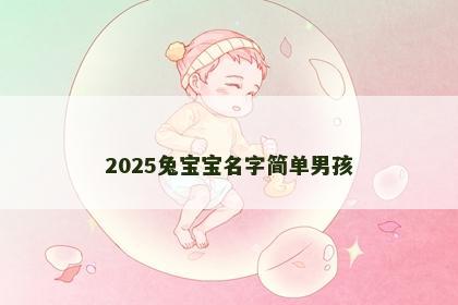 2025兔宝宝名字简单男孩