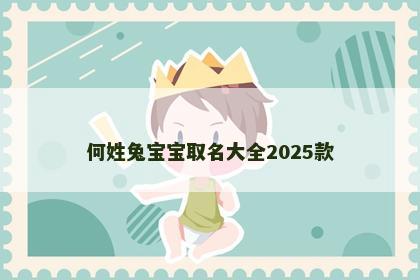 何姓兔宝宝取名大全2025款