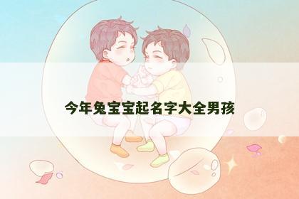 今年兔宝宝起名字大全男孩