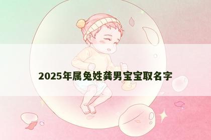 2025年属兔姓龚男宝宝取名字