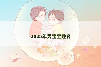 2025年男宝宝姓名