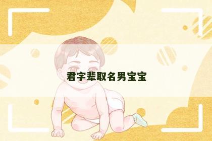 君字辈取名男宝宝