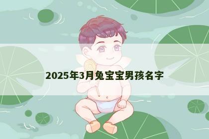2025年3月兔宝宝男孩名字