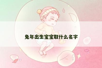 兔年出生宝宝取什么名字