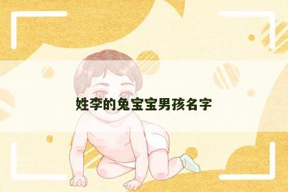 姓李的兔宝宝男孩名字