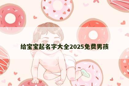 给宝宝起名字大全2025免费男孩