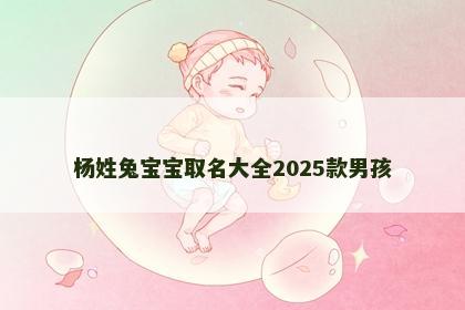 杨姓兔宝宝取名大全2025款男孩