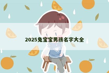 2025兔宝宝男孩名字大全