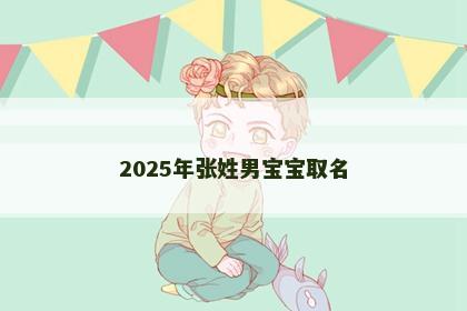 2025年张姓男宝宝取名