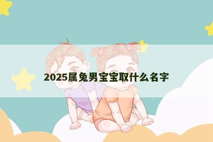 2025属兔男宝宝取什么名字