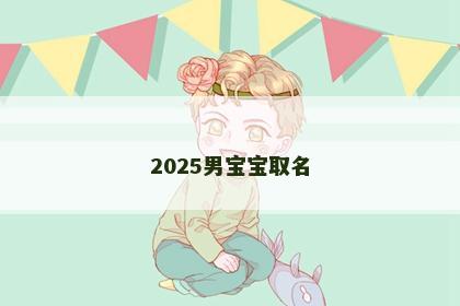 2025男宝宝取名
