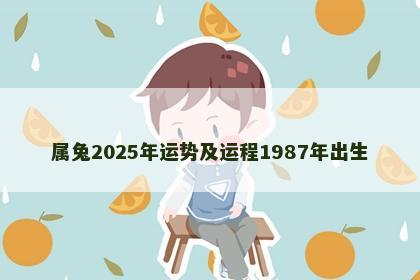 属兔2025年运势及运程1987年出生
