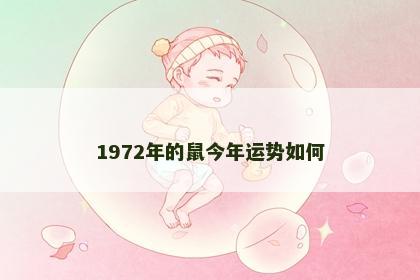 1972年的鼠今年运势如何