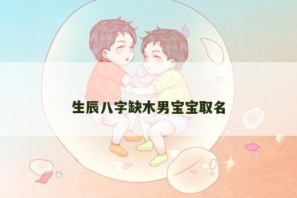 生辰八字缺木男宝宝取名