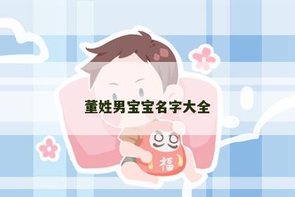 董姓男宝宝名字大全