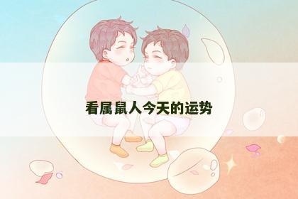 看属鼠人今天的运势