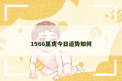 1986属虎今日运势如何