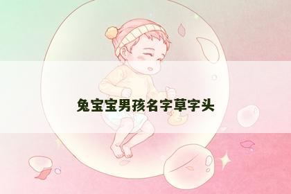 兔宝宝男孩名字草字头