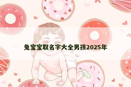 兔宝宝取名字大全男孩2025年
