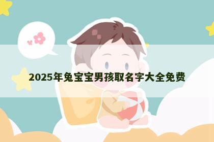 2025年兔宝宝男孩取名字大全免费