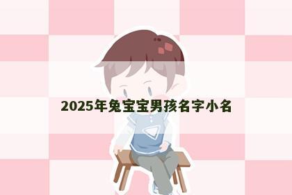 2025年兔宝宝男孩名字小名