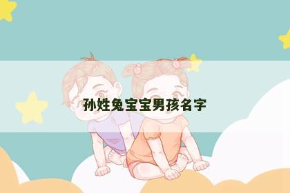 孙姓兔宝宝男孩名字