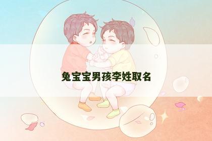 兔宝宝男孩李姓取名