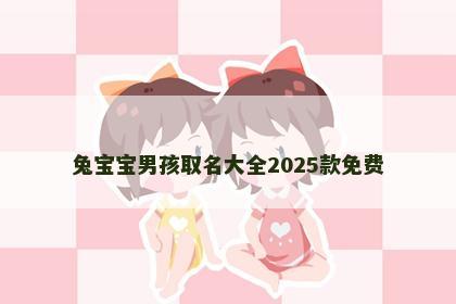 兔宝宝男孩取名大全2025款免费